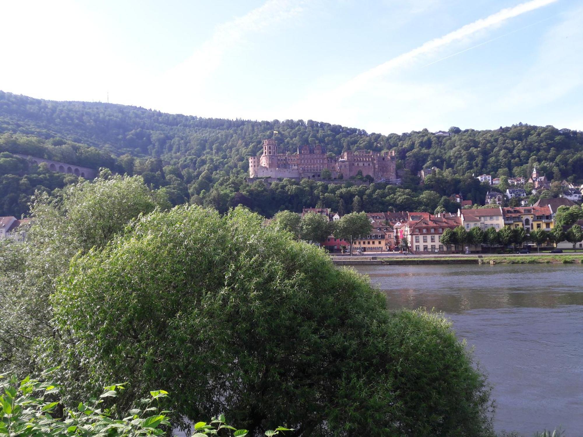 Ferienwohnung Neckarblick Heidelberg Exterior foto