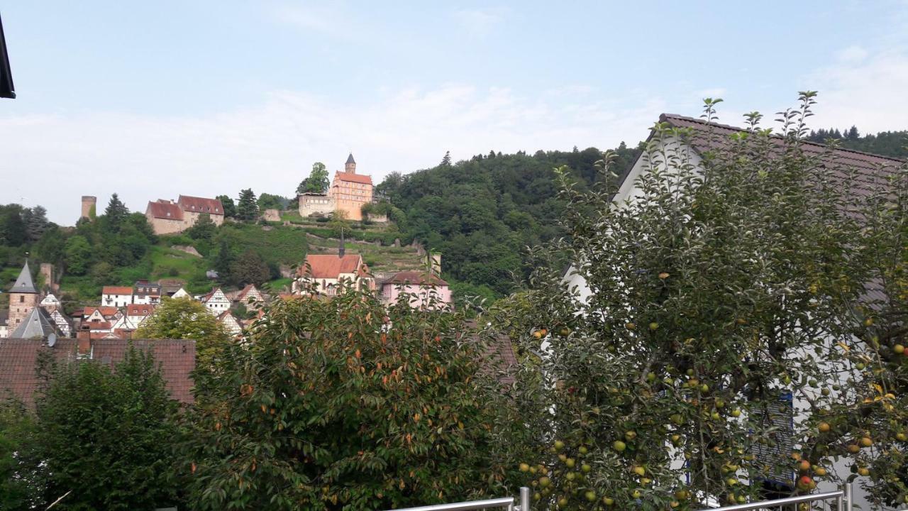 Ferienwohnung Neckarblick Heidelberg Exterior foto